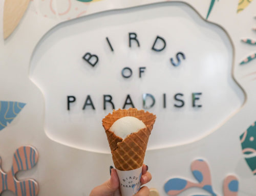 Birds of Paradise Gelato Boutique – Michelin Guide Ice Cream in East Coast